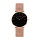 Зображення з Жіночий годинник Hannah Martin rose gold mesh black